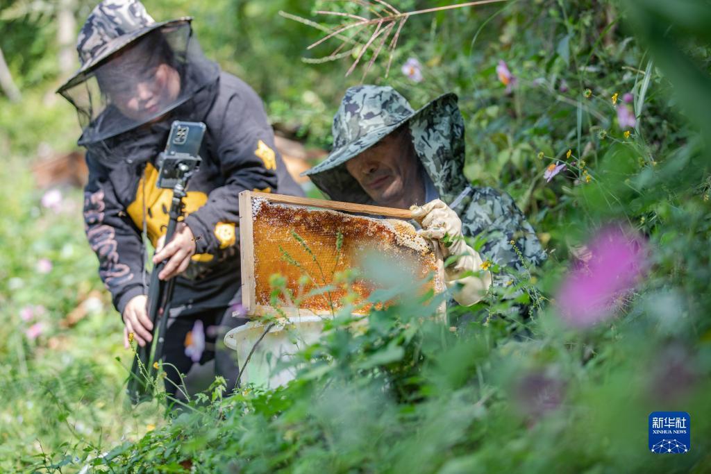 德赢vwin官网下载